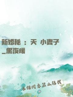 新婚秘愛：天價小妻子