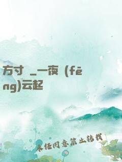 方寸殺