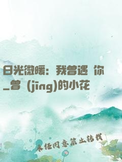 日光微暖：我曾遇見你