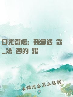 日光微暖：我曾遇見你