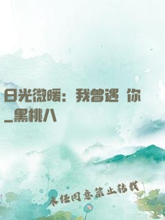 日光微暖：我曾遇見你