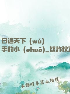 日遍天下無(wú)敵手的小說(shuō)