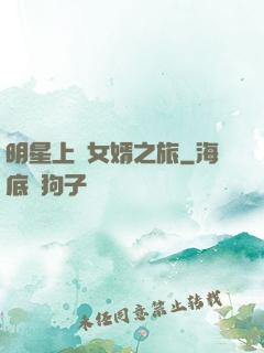 明星上門女婿之旅
