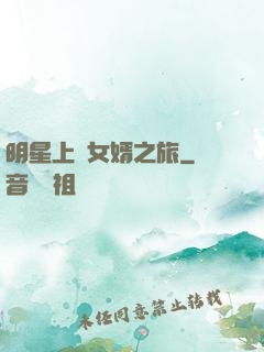 明星上門女婿之旅