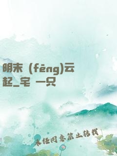 明末風(fēng)云起