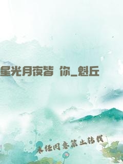 星光月夜皆歸你