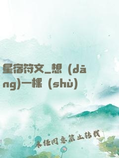 星宿符文