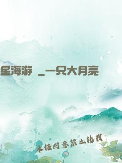 星海游龍