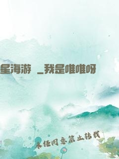 星海游龍