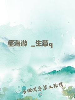 星海游龍