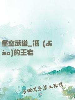 星空武道