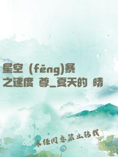 星空風(fēng)暴之速度為尊