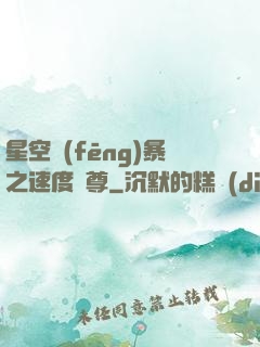 星空風(fēng)暴之速度為尊