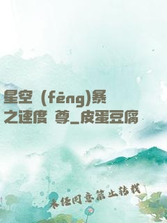 星空風(fēng)暴之速度為尊