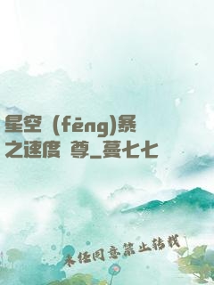 星空風(fēng)暴之速度為尊