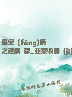 星空風(fēng)暴之速度為尊