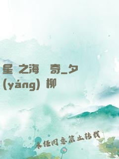 星際之海盜傳奇