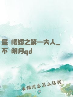 星際暖婚之第一夫人