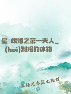 星際暖婚之第一夫人