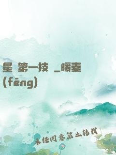 星際第一技師