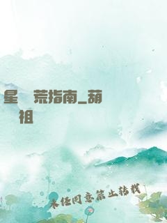 星際開荒指南
