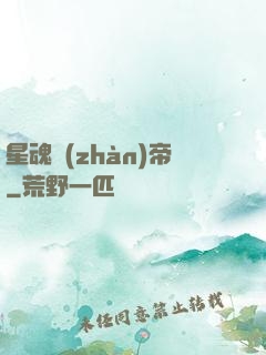 星魂戰(zhàn)帝