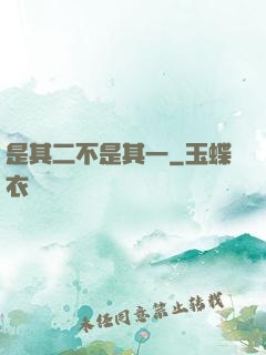 是其二不是其一