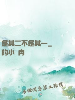 是其二不是其一