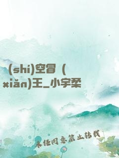 時(shí)空冒險(xiǎn)王