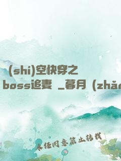 時(shí)空快穿之boss追妻記