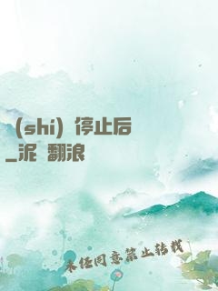 時(shí)間停止后
