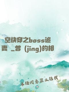 時空快穿之boss追妻記