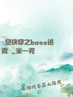 時空快穿之boss追妻記