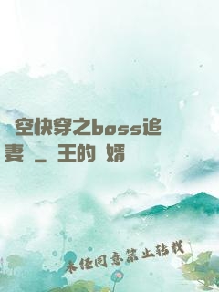 時空快穿之boss追妻記