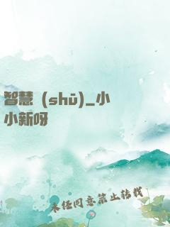 智慧書(shū)