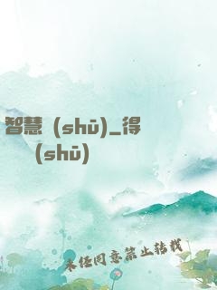 智慧書(shū)