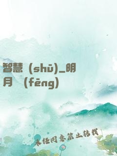 智慧書(shū)