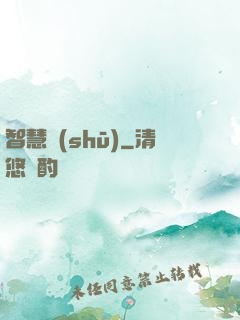 智慧書(shū)