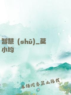 智慧書(shū)