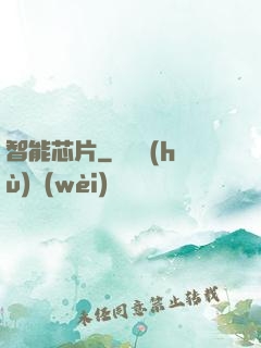智能芯片