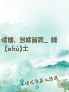 暖婚，名媛前妻