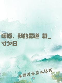 暖婚，我的霸道總裁