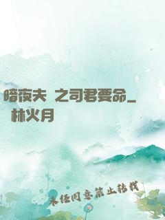 暗夜夫寵之司君要命
