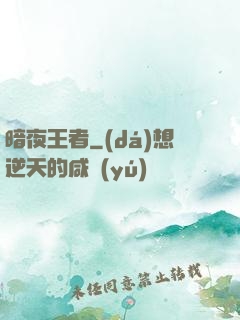 暗夜王者