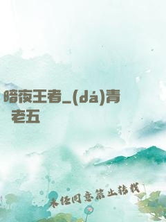 暗夜王者