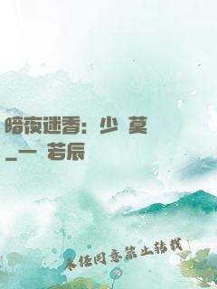 暗夜迷香：少帥莫貪歡