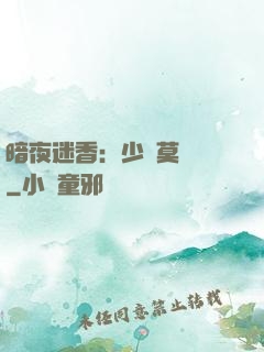 暗夜迷香：少帥莫貪歡