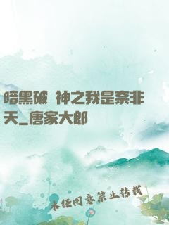 暗黑破壞神之我是奈非天