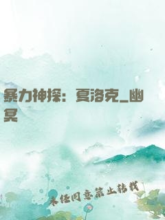 暴力神探：夏洛克