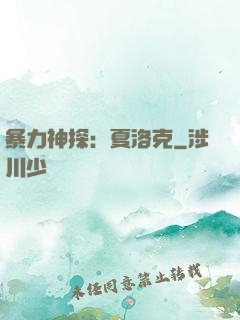 暴力神探：夏洛克